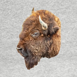 American buffalo T-Shirt